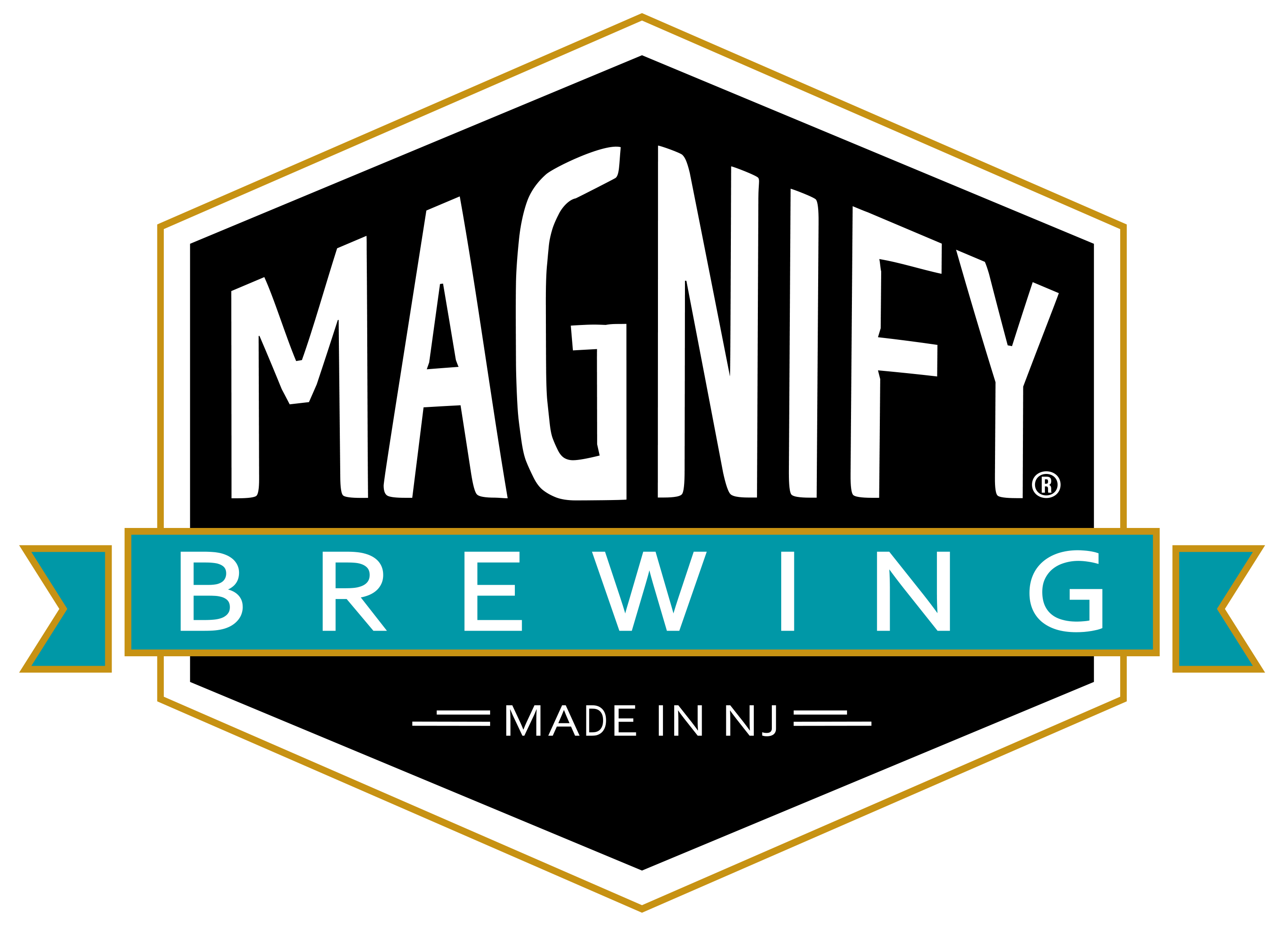 Magnify Brewing